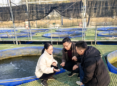 省水产科学研究所到枝江市开展技术服务  