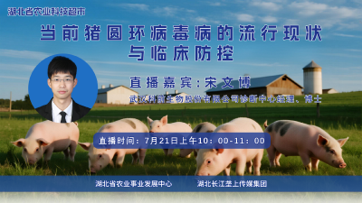 直播 | 当前猪圆环病毒病的流行现状与临床防控