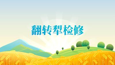 2025年“三夏”“双抢”农业生产农机检修技术指引——翻转犁检修技术