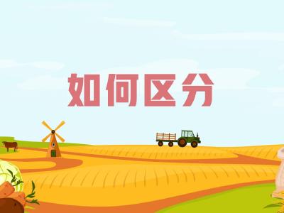 农机维修知识问答——如何区分柴油机和汽油机？