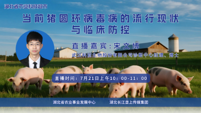 直播预告|当前猪圆环病毒病的流行现状与临床防控