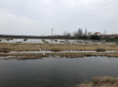 2024年湖北省冬季水产养殖管理措施