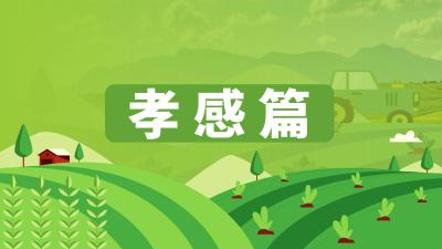 湖北省农机维修网点及重点品牌农机维修店信息汇总——孝感篇