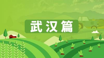 湖北省农机维修网点及重点品牌农机维修店信息汇总——武汉篇