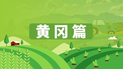 湖北省农机维修网点及重点品牌农机维修店信息汇总——黄冈篇