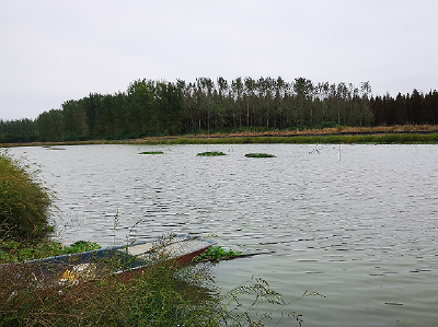 渔业生产应对低温雨雪冰冻灾害技术措施