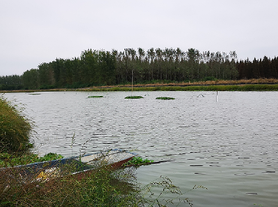 水产养殖越冬指南：专家支招抗寒与减灾关键技术