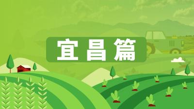 湖北省农机维修网点及重点品牌农机维修店信息汇总——宜昌篇