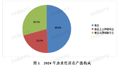 权威发布｜2024年全国渔业经济统计公报（全文）