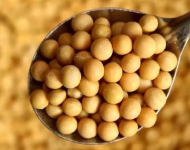 我国3年共减少粮食损失超500亿斤 2017年至2024年节约豆粕近2000万吨