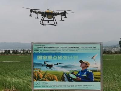 中国农大开展无人机水稻施药飘移研究