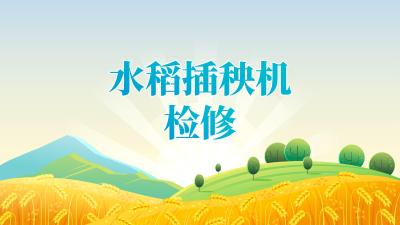 2025年“三夏”“双抢”农业生产农机检修技术指引——水稻插秧机检修技术