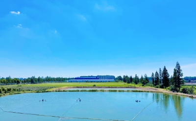 鱼儿住进“水下立体公寓”