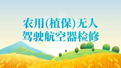 2025年“三夏”“双抢”农业生产农机检修技术指引——农用(植保)无人驾驶航空器检修技术