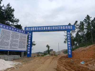 武穴：打造鄂东智慧蛋鸡新标杆