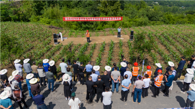 秭归：实战演练防“盲救”，严守“两池”安全关 
