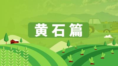 湖北省农机维修网点及重点品牌农机维修店信息汇总——黄石篇