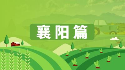 湖北省农机维修网点及重点品牌农机维修店信息汇总——襄阳篇