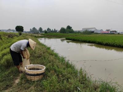 稻渔综合种养共富主体典型案例简介