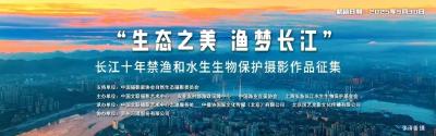 “生态之美 渔梦长江” ——长江十年禁渔和水生生物保护摄影作品征集启动