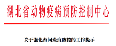 关于强化畜间炭疽防控的工作提示