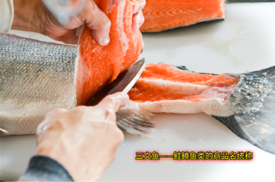 四季渔味 鲜享生活⑳ | 三文鱼：Ω-3不饱和脂肪酸的优质来源
