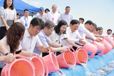 第六届中韩联合增殖放流活动在烟台举行