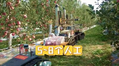 快准稳！“会摘苹果的机器人”来了！