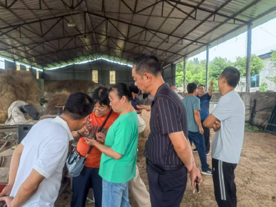 动物防疫知多少 | 对经强制免疫的动物未按照规定建立免疫档案，或者未按照规定加施畜禽标识的，如何处罚？
