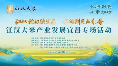 回播 | 江汉稻浪映宜昌  水润荆楚品米香