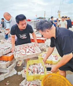 《人民日报》：广东阳江 开渔季的变与不变