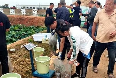 咸宁农民丰收节现场，罗氏沼虾2000斤免费送