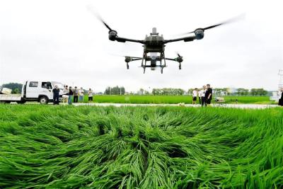 开“飞机”种地成潮流 今年我省植保无人机购置量增长迅猛