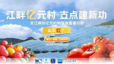 直播 | 江畔亿元村 支点建新功