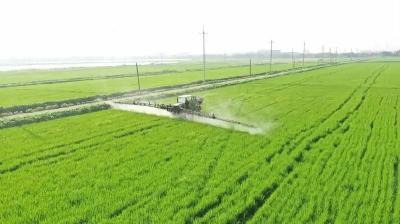 小农机闯出大市场！这个丘陵山区农机装备集群年产值超230亿元！