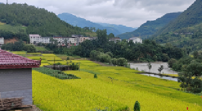 十堰市关防乡高标准农田：赋能乡村振兴 绘就丰收画卷