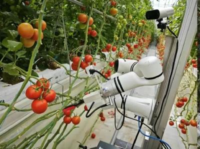 中国农机院强势发力农业机器人！