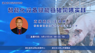 回播 | 智能化设备赋能母猪饲喂实践