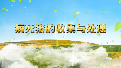 病死猪的收集与处理