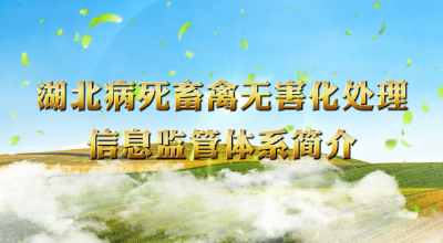 湖北病死畜禽无害化处理信息监管体系简介