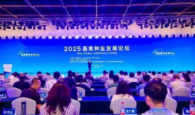 种业重磅成果出炉！事关你的“肉盘子”“奶罐子”！