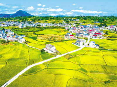 农业“压舱”稳大局 乡村“提质”焕新颜 十大重点农业产业链综合产值过万亿元