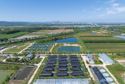 从“捕鱼人”到“养鱼王”——汉江渔民郭俊杰的转型之路