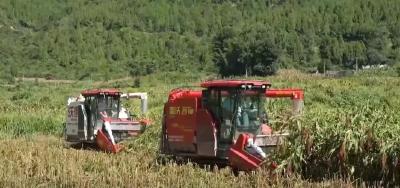 “良种良技+智慧农机”为秋收保驾护航