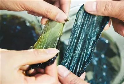 紫菜是用塑料做的，不能吃了？
