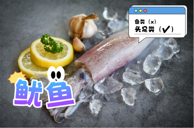 四季渔味 鲜享生活㉓ | 鱿鱼：天然健康的远洋海产品