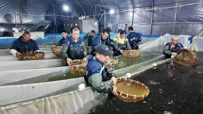 枝江：“四链协同”构建渔业发展新格局