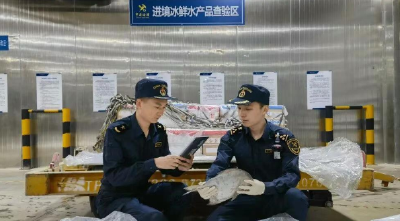 印度冰鲜鲳鱼“飞”抵鄂州花湖机场