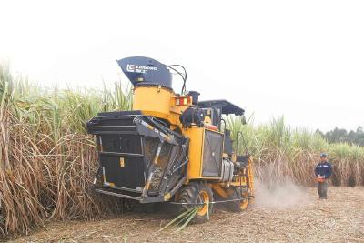 补贴加码 广西强力破局糖料蔗机收水平