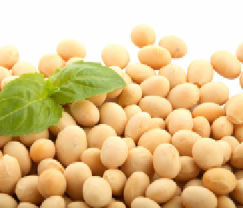 豆粕价格或有向上修复预期